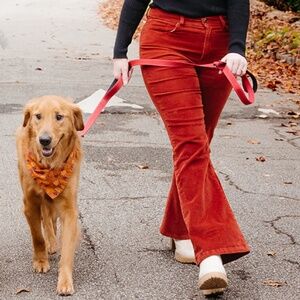 Kensie Jeans The Savannah High Rise Flare Corduroy Pants Rust